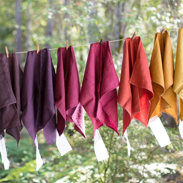Natural Dyes By Himalayan Weavers